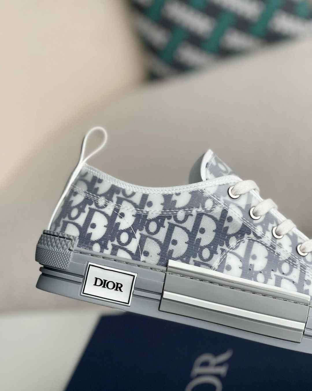 Dior B23 Low-Top Sneaker in White & Gray Dior Oblique Transparent Technical Canvas