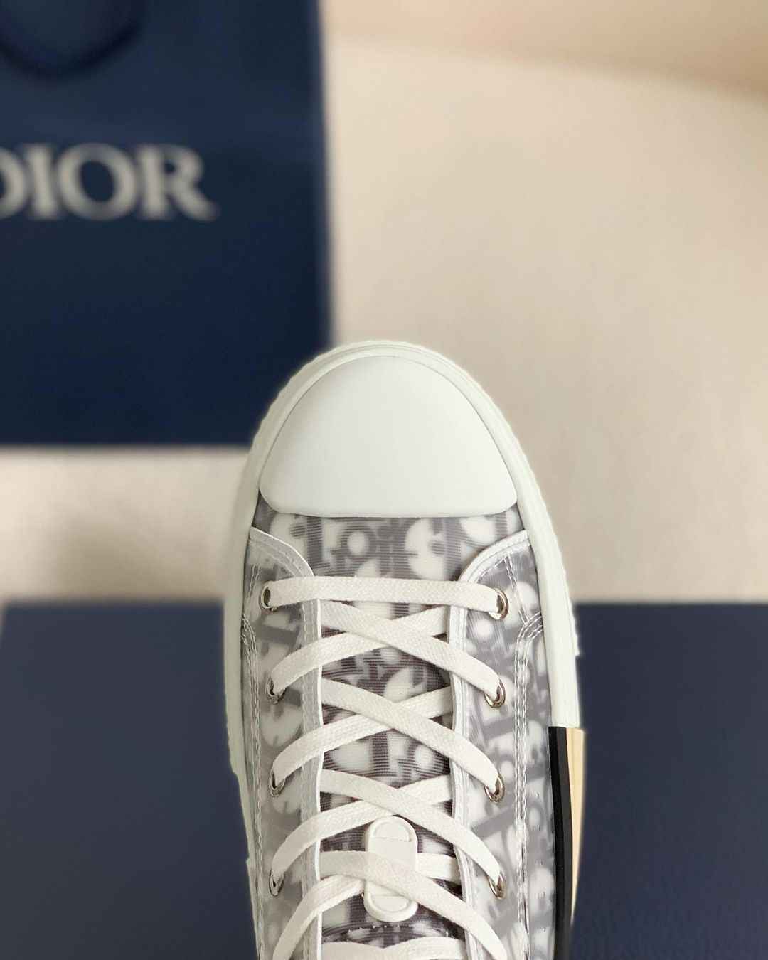 Dior B23 High-Top Sneaker in White & Grey Dior Oblique Transparent Technical Canvas