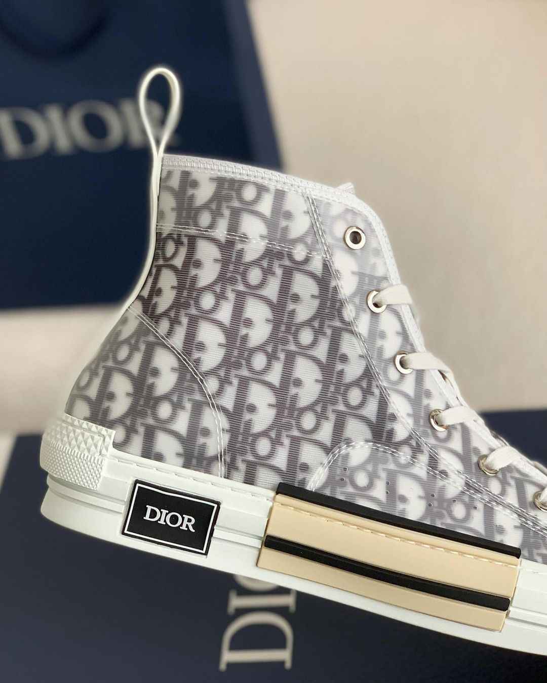 Dior B23 High-Top Sneaker in White & Grey Dior Oblique Transparent Technical Canvas