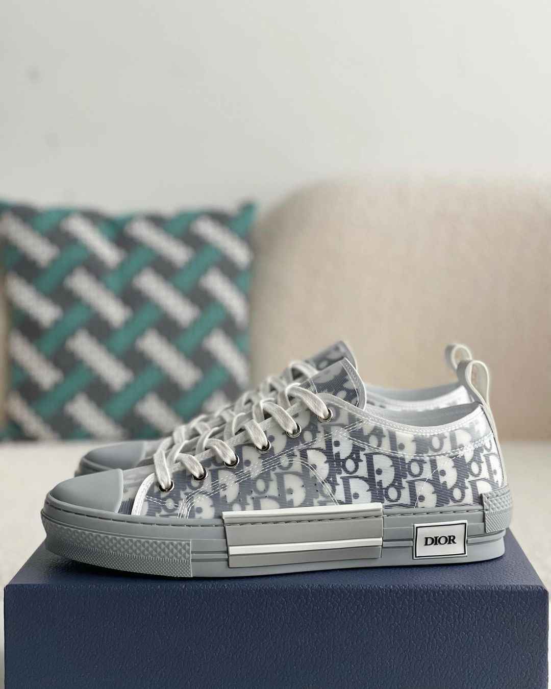Dior B23 Low-Top Sneaker in White & Gray Dior Oblique Transparent Technical Canvas