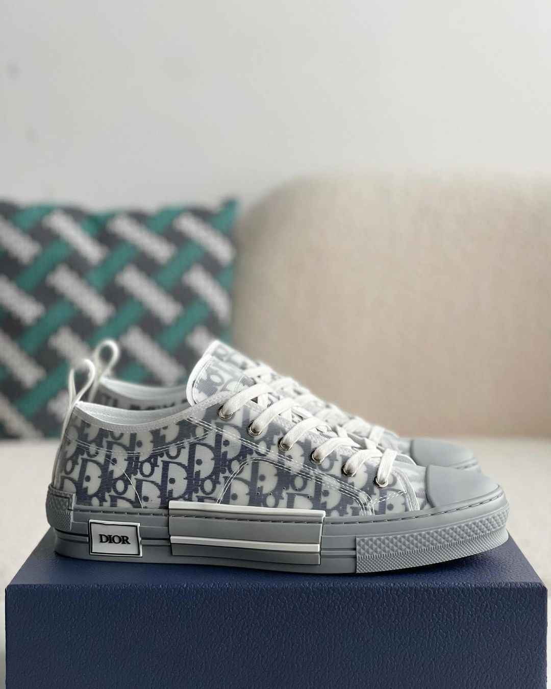 Dior B23 Low-Top Sneaker in White & Gray Dior Oblique Transparent Technical Canvas